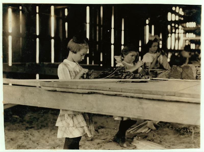 <img typeof="foaf:Image" src="http://statelibrarync.org/learnnc/sites/default/files/images/tobaccoshed_0.jpg" width="1024" height="762" alt="Little girls work in the interior of a tobacco shed" title="Little girls work in the interior of a tobacco shed" />
