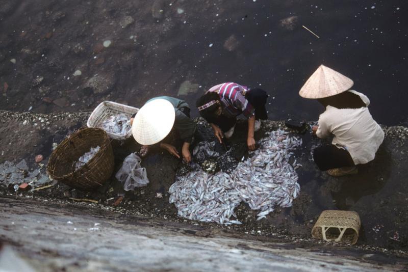 <img typeof="foaf:Image" src="http://statelibrarync.org/learnnc/sites/default/files/images/vietnam_027.jpg" width="1024" height="683" alt="Overhead view of three women processing fish catch at Cat Ba harbor" title="Overhead view of three women processing fish catch at Cat Ba harbor" />