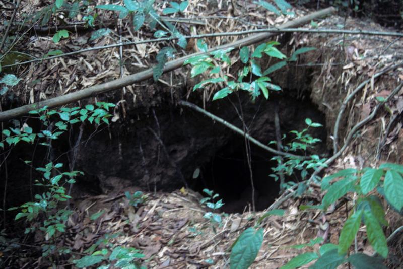 <img typeof="foaf:Image" src="http://statelibrarync.org/learnnc/sites/default/files/images/vietnam_168.jpg" width="1024" height="683" alt="Trap entrance into underground Vietnam War tunnel at Cu Chi" title="Trap entrance into underground Vietnam War tunnel at Cu Chi" />