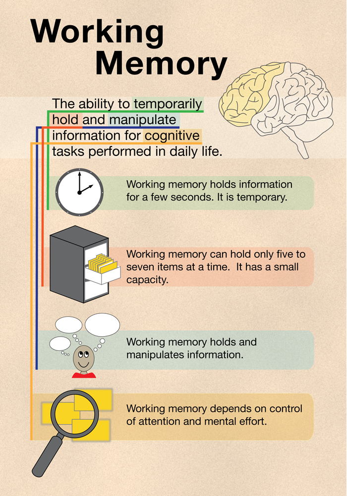 Working memory: How you keep things 'in mind' over the short term