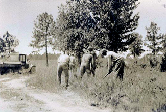 Convicts working on road clearing, 1920-1940. Image from the North Carolina Museum of History.