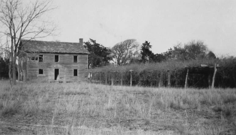 Photograph of the Mother Vineyard, Roanoke Island, 1930, showing the vines supported by wooden structures. Image from the North Carolina Museum of History.