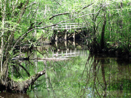 Read more about the Battle of Moores Creek Bridge