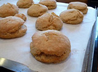 Biscuits. Image courtesy of Flickr user Brenda Wiley.