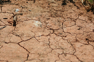 What the clay? People are eating white dirt for 'nutritional value.