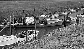Coastal Region. Shad Fishing, ca. 1935-1940. Image courtesy of State Archives of NC. 