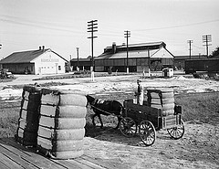 Cotton Gin, Dunn, NC, September 1938. Taken by Baker. From Conservation and Development Department, Travel and Tourism photo files, North Carolina State Archives, call #:  ConDev1413A-D. 