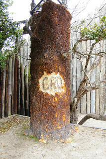 The "CRO" tree at the Lost Colony theater at Fort Raleigh National Historic Site. Image courtesy of Flickr user Sarah Stierch. 
