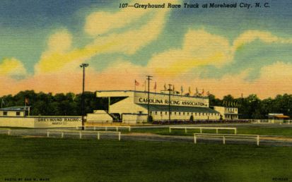 Greyhound Race Track, Morehead City, Postcard, 1950. Image courtesy of the University of North Carolina at Chapel Hill Libraries. 