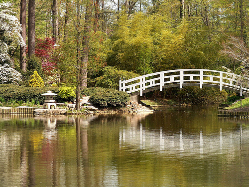 Duke Gardens. Image courtesy of Flickr user Joanna8555. 