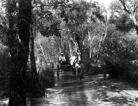 Unidentified man with horse and buggy in water crossing at Smith Creek Ford, August 5, 1907, presumed to be North Carolina but exact location unknown. From Carolina Power and Light Photograph Collection, North Carolina State Archives, call #:  PhC68_1_555_2. 