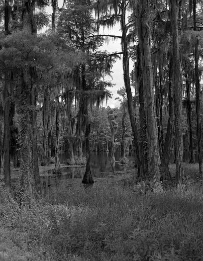 Greenfield Lake