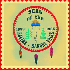 "Haliwa-Saponi Tribe In NC." Photo courtesy of Flickr user Neil Smith, taken on May 20, 2009.
