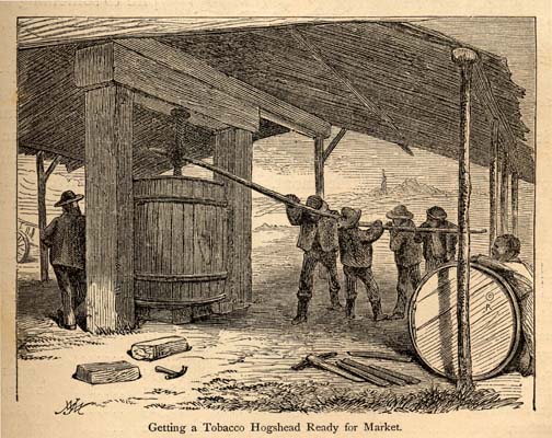Getting a tobacco hogshead ready for market, 1875