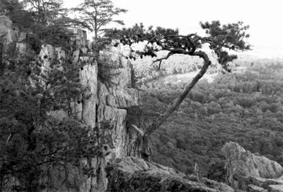 Black and white photograph taken from Crowders Mountain, by park visitor Angela Wright, 2015. Used courtesy of the N.C. Division of Parks and Recreation.