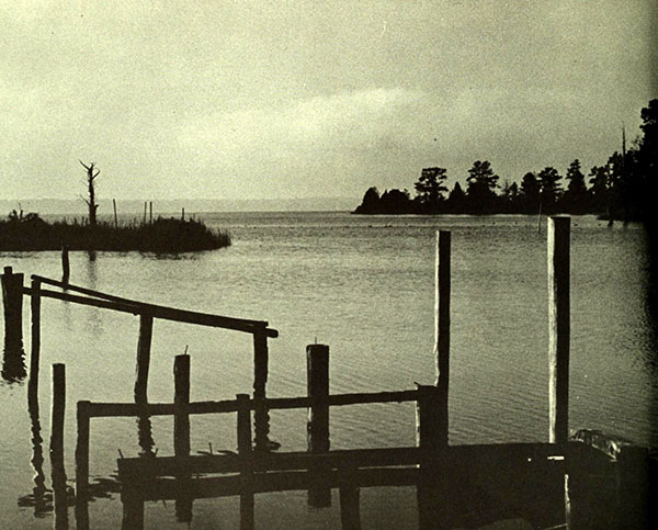 Photograph of Goose Creek State Park. A dock sits on the edge of a lake. There are trees in the background.