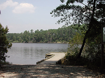 View of Goose Creek from the state park camping area, photograph July 14, 2004.  From the NCECHO Project, North Carolina Digital Collections.