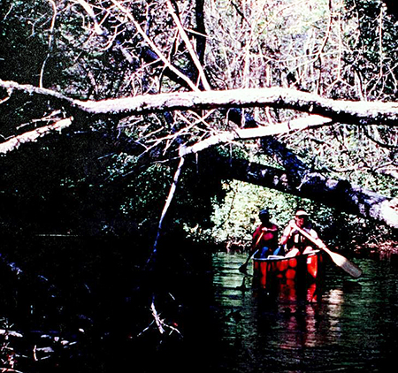 Canoeing at Lumber River State Park, photograph ca. 1990s. From the <i>Lumber River State Park Master Plan</i>, N.C. Division of Parks and Recreation, 1995.  From the collection of Clemson University.