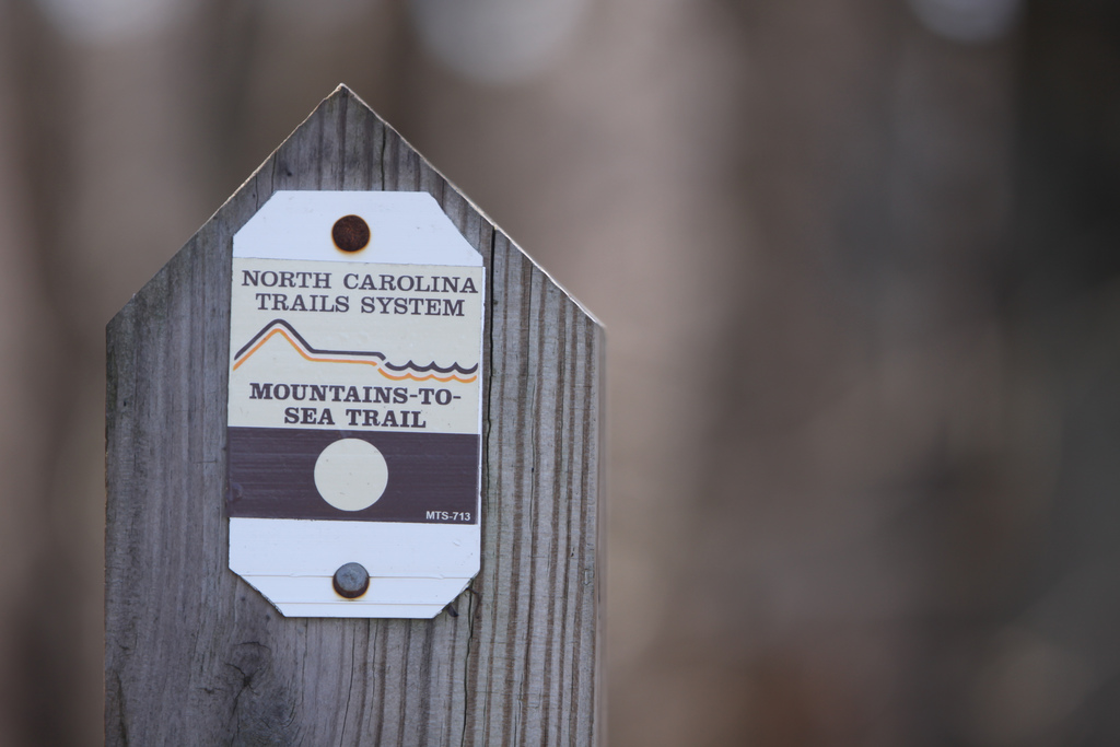 Photo of Mountains-to-Sea Trail signpost