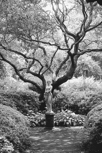 The Virginia Dare statue by Maria Louisa Lander in the Elizabethan Gardens on Roanoke Island. Photograph courtesy of North Carolina Division of Tourism, Film, and Sports Development.