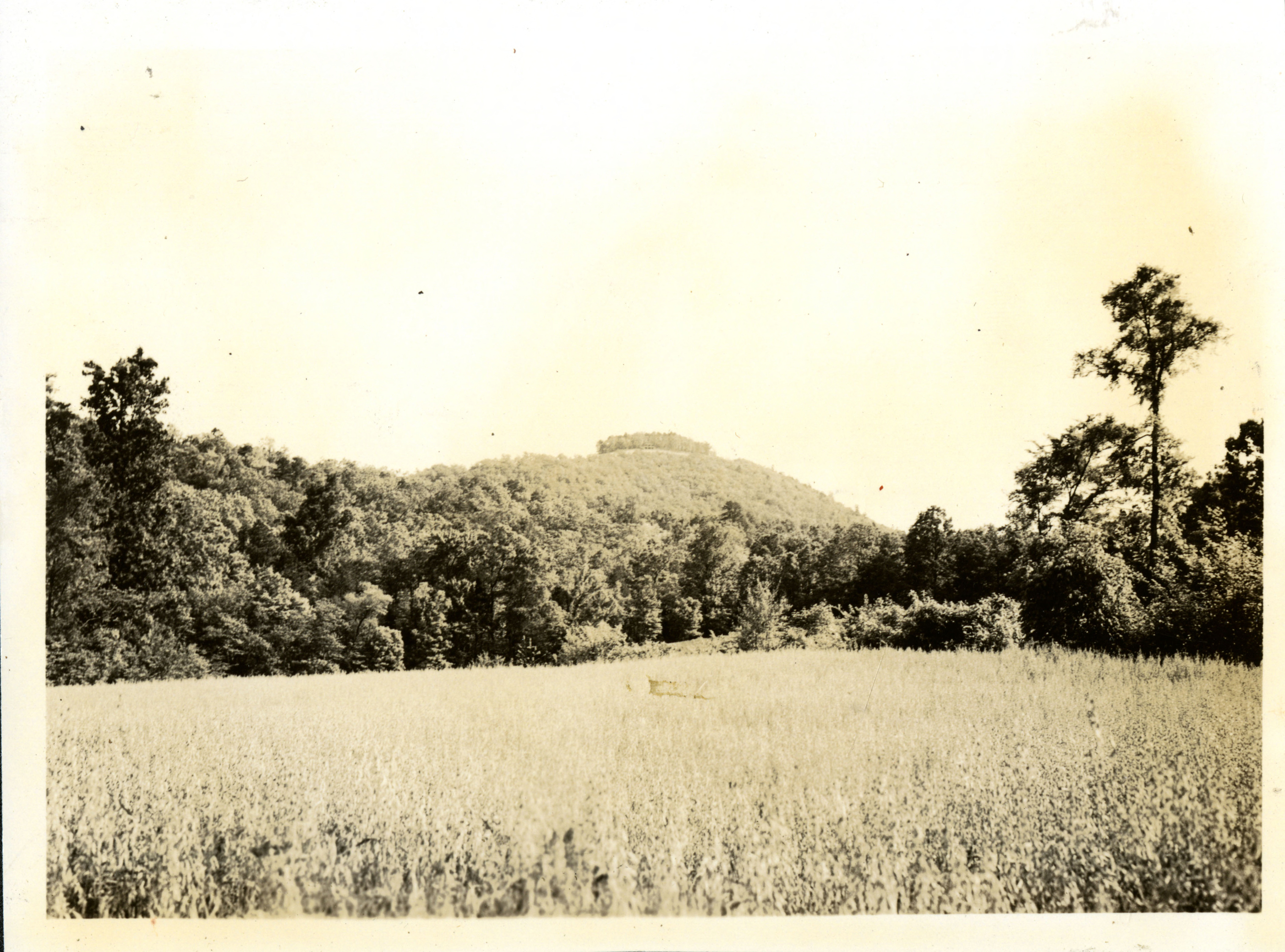 Photograph of picnic shelter at the top of Morrow Mountain, 1944. The shelter was built in the late 1930s by the Civilian Conservation Corps and is typical of the rustic style created by WPA projects of the New Deal era. From the State Parks Collection, NC Digital Collections.