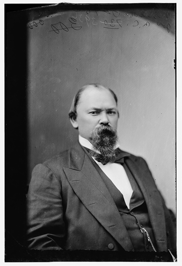Photographic portrait of the Hon. Joseph John Martin of N.C., wet collodion negative circa 1870-1880.  From the Brady-Handy Collection, Library of Congress Prints & Photographs Online Catalog. 