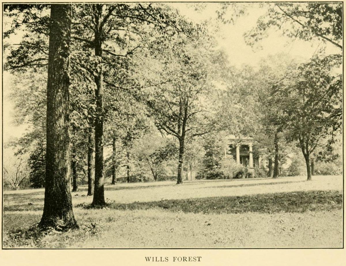 Photograph of Wills Forest, the Lane Family home in Raleigh inherited by John Devereux's wife, Margaret.  From Margaret Devereux's <i>Plantation Sketches</i>, [p. 45-55], published 1906 by the Riverside Press, Cambridge.  Presented on Archive.org. 
