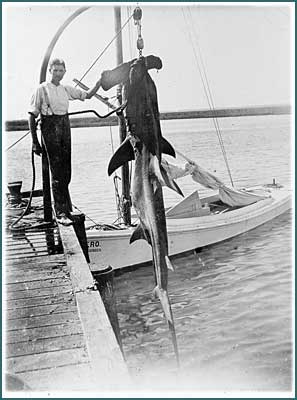 Eugene Gudger. Image courtesy of the American Museum of Natural History. 