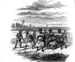 Black laborers in tattered clothing work in a field with hoes.