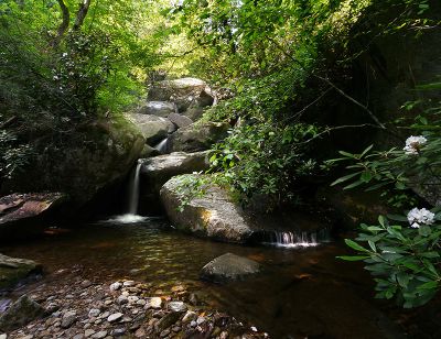 Peek, Charlie. 2012. "South Mountains State Park - Henry Fork." NC Division of Parks and Recreation. 