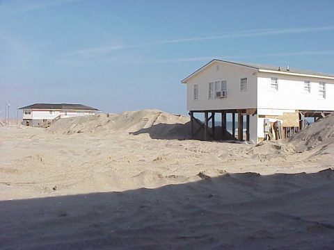 New dunes