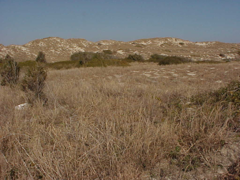 Seaward slope