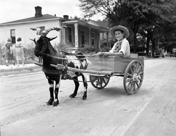 Wilson Farm Festival, Wilson, NC, August 1938, Goat Wagon, photo taken by Baker. Conservation and Development Department, Travel and Tourism Division Photo Files, North Carolina State Archives, call #: ConDev1403A-A .